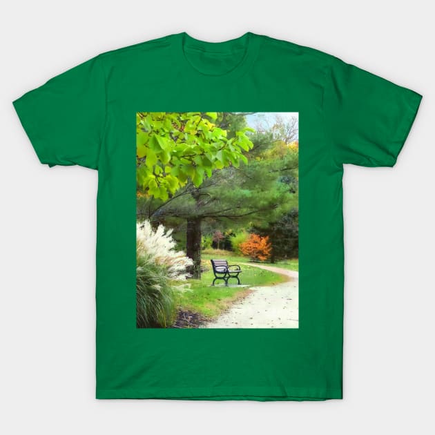 Ornamental Grass in Autumn Park T-Shirt by SusanSavad